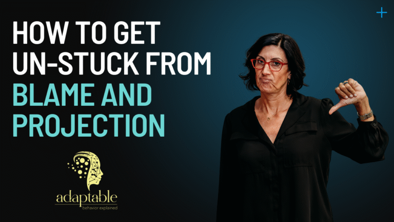 Projection and Blame and How to Slow Yourself Down